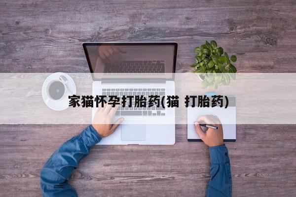 堕胎药药店购买微信联系方式家猫怀孕打胎药(猫 打胎药)