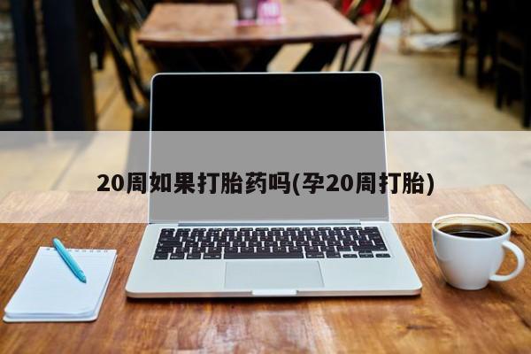堕胎药药店购买微信联系方式20周如果打胎药吗(孕20周打胎)